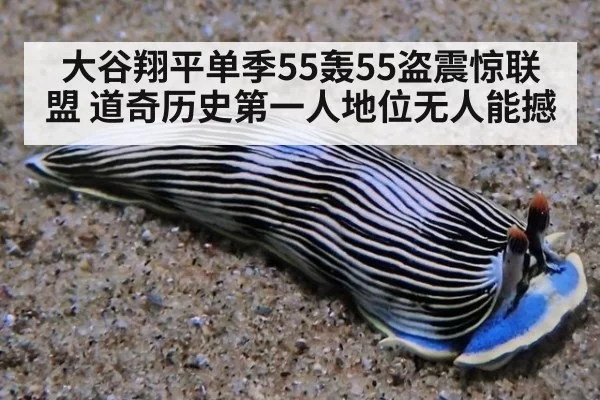 大谷翔平单季55轰55盗震惊联盟 道奇历史第一人地位无人能撼