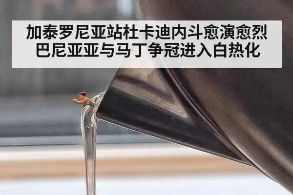 加泰罗尼亚站杜卡迪内斗愈演愈烈 巴尼亚亚与马丁争冠进入白热化