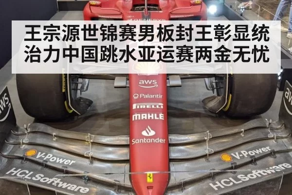 王宗源世锦赛男板封王彰显统治力中国跳水亚运赛两金无忧